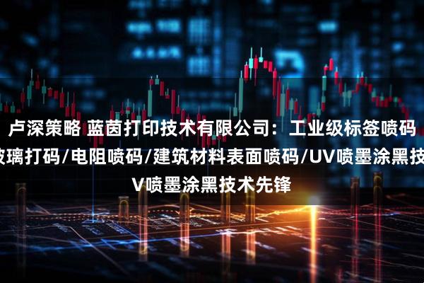 卢深策略 蓝茵打印技术有限公司：工业级标签喷码/光伏玻璃打码/电阻喷码/建筑材料表面喷码/UV喷墨涂黑技术先锋