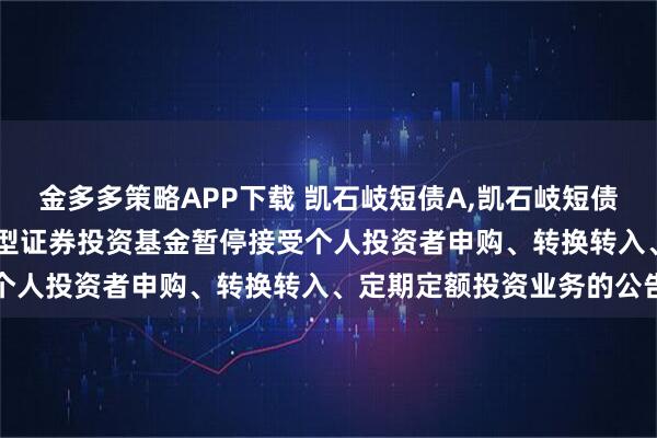 金多多策略APP下载 凯石岐短债A,凯石岐短债C: 关于凯石岐短债债券型证券投资基金暂停接受个人投资者申购、转换转入、定期定额投资业务的公告