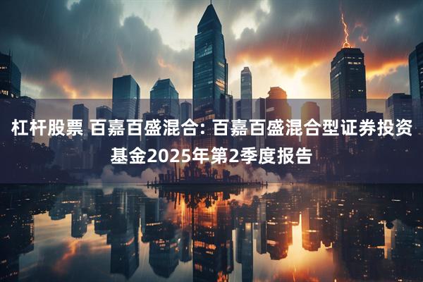 杠杆股票 百嘉百盛混合: 百嘉百盛混合型证券投资基金2025年第2季度报告