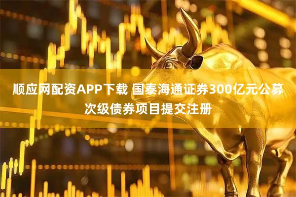 顺应网配资APP下载 国泰海通证券300亿元公募次级债券项目提交注册
